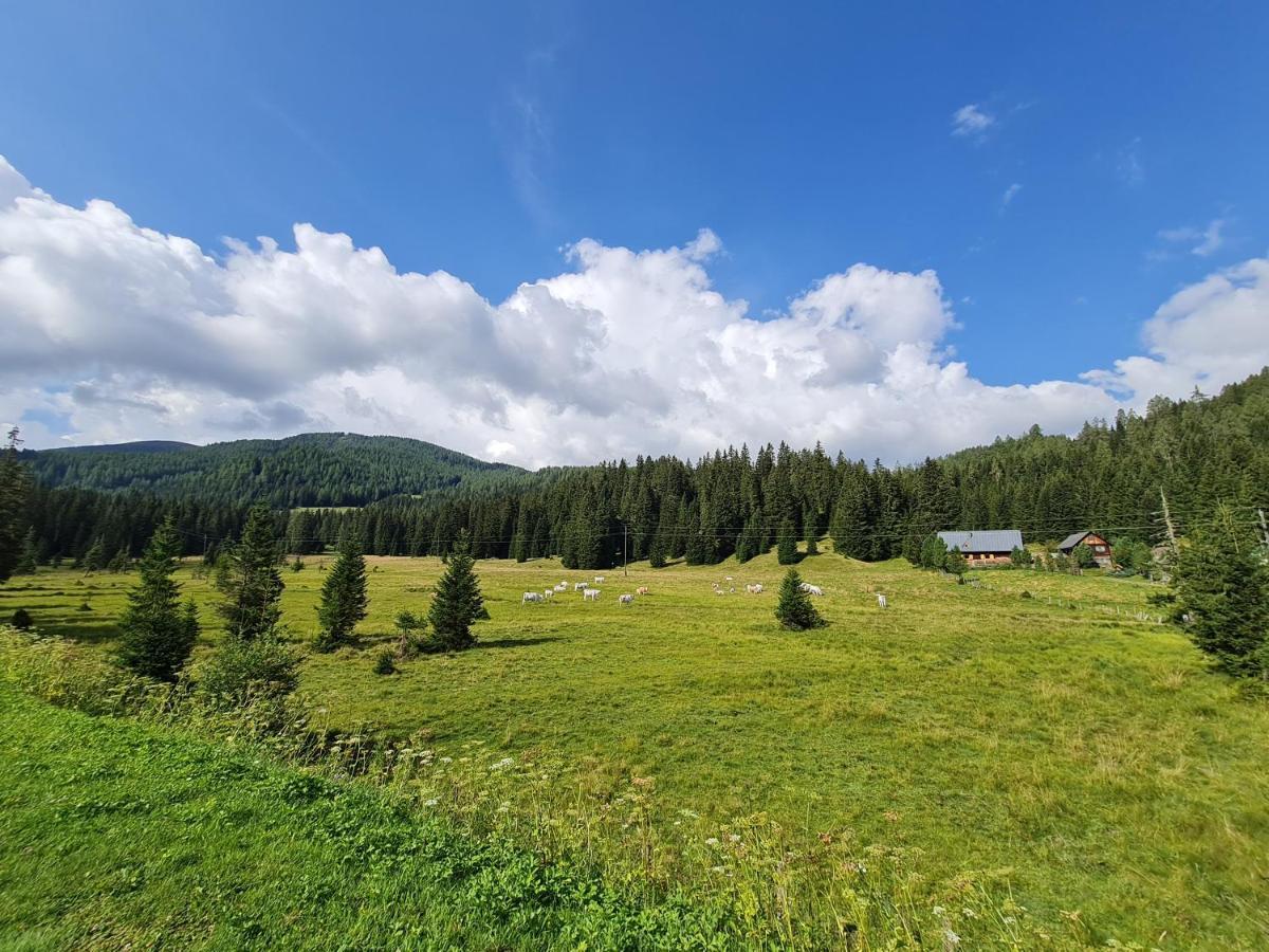 Apartmenthaus Almwiese Flattnitz Exterior foto